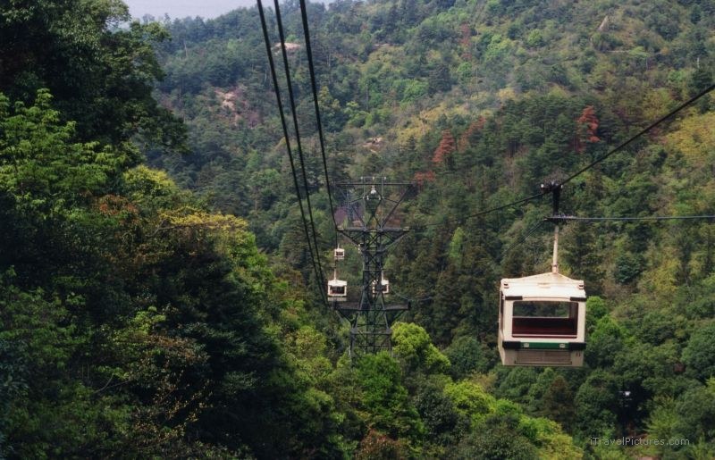 Miyajima Island gondola  trees tree forest
